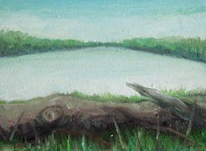 Shoalhaven River #2