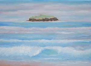 Bird Island