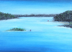 Lake & Island (Tuggerah)