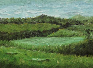 Tweed Valley (Murwillumbah)